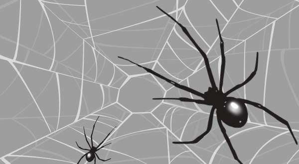 A spider simulator helps you market to search engines