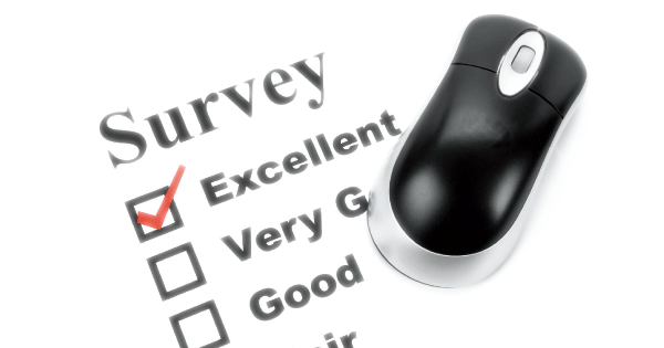 13 Customer Surveys
