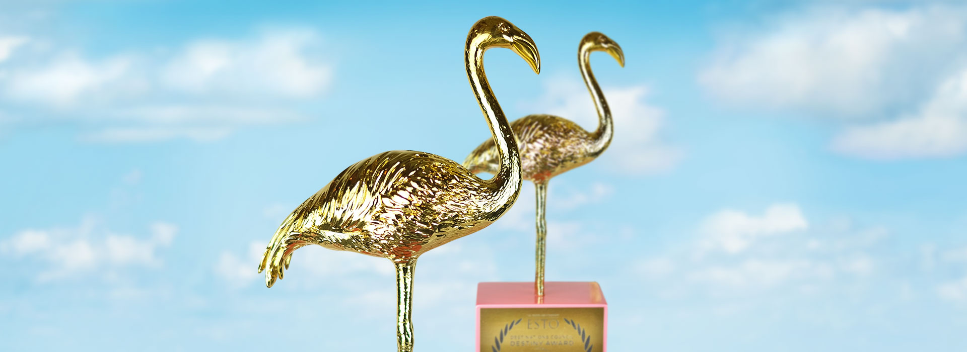 ESTO Awards Flamingo2