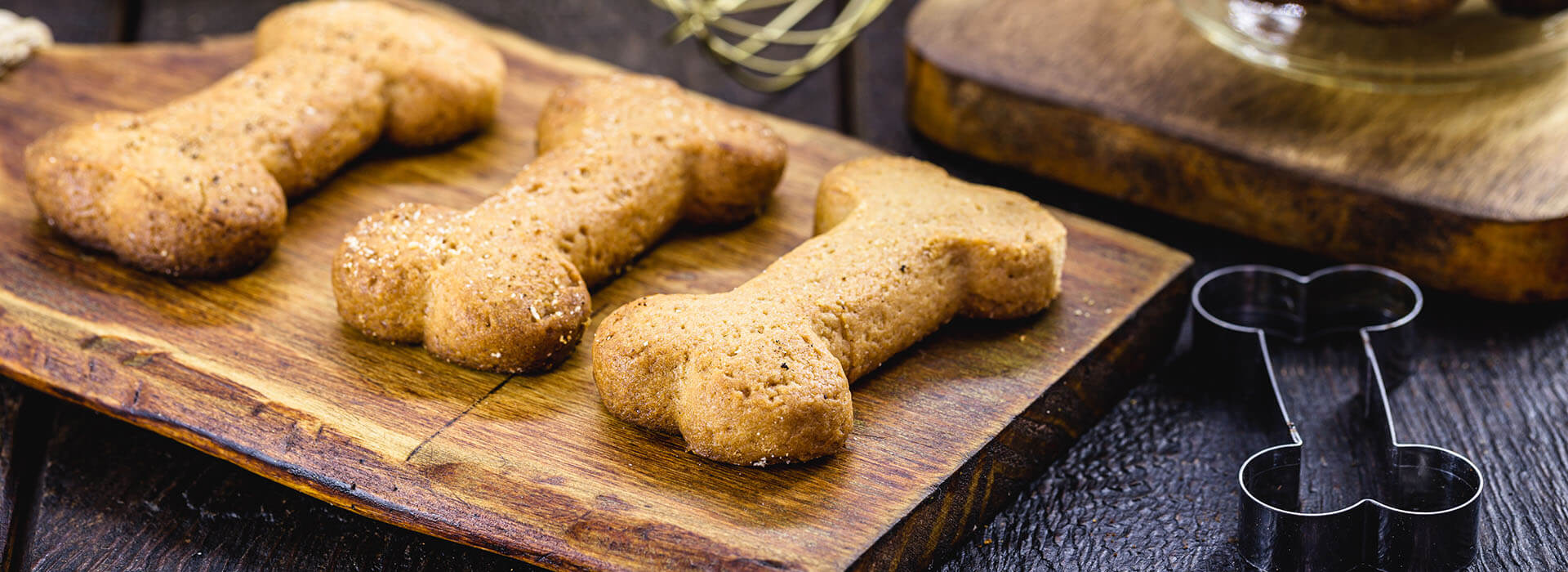 doggie cookies